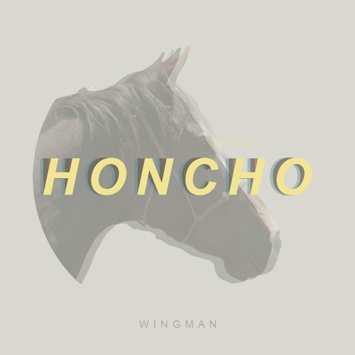 Wingman - Much