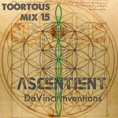 toortous mix 15