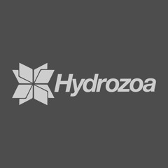 Hydrozoa Podcast 002 - Dani Sbert