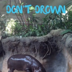 Splish Splash - Love This Hoe (Prod. By JFresh! X GNABRIL)