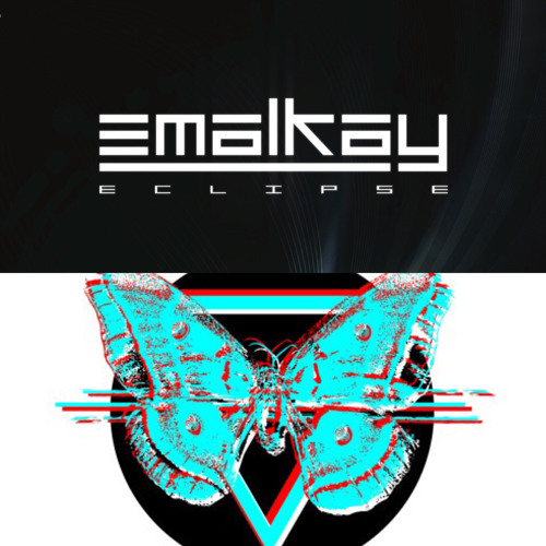 Emalkay x Bassnectar - When I Look Into The Sun (Colors Edit)