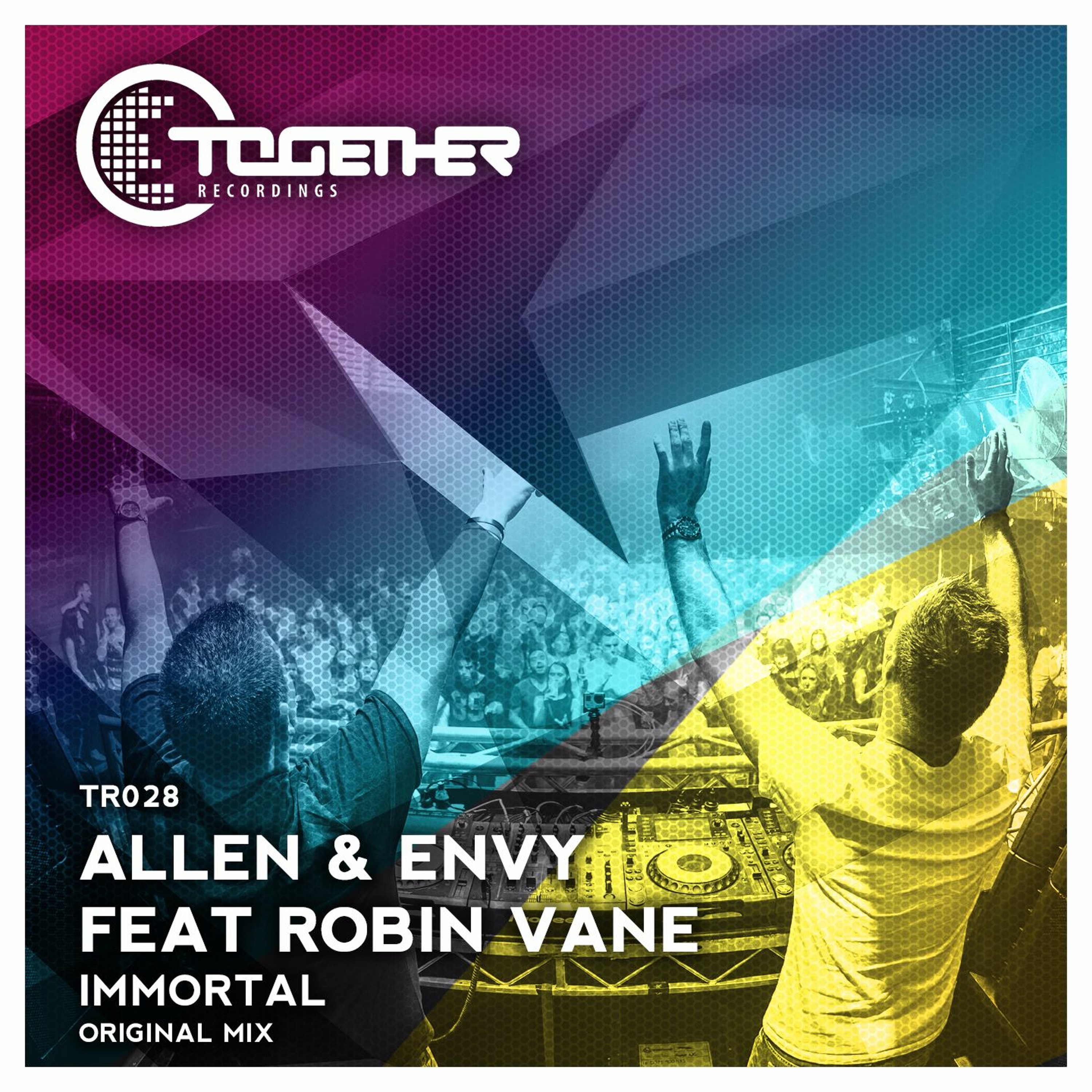 Allen & Envy Feat Robin Vane - Immortal (Original Mix) [Together Recordings] As Played on #ASOT758 episode artwork