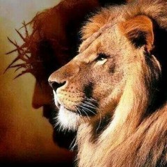 Camino Con Jah - Don De Oro - Por Amor Alas Calles