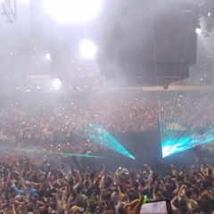 Bassnectar-nye360-2015-2016-lights-balldrop.mp3