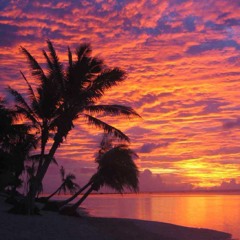 April tropical house beatz