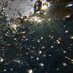 Ashmore Reef [Naviarhaiku117 - The vast kelp forest]