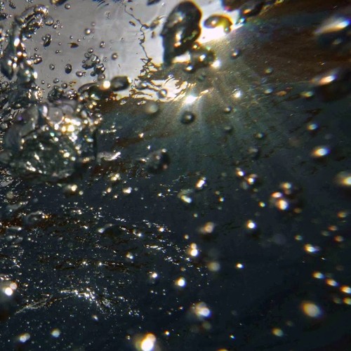 Ashmore Reef [Naviarhaiku117 - The vast kelp forest]