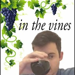 In The Vines, Le Roc Fronton 2012: "I'm Into This One"