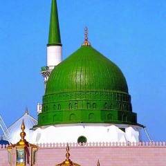 هام الفؤاد