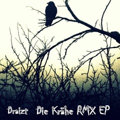 Track 14 Draizt feat Der Alki