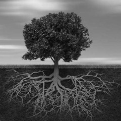 New Roots