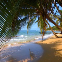 tracks & songs I like