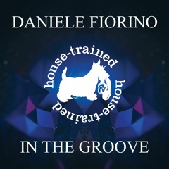 Daniele Fiorino 'In The Groove' PREVIEW SNIPPET