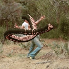 'Speeding Bullet to Heaven'