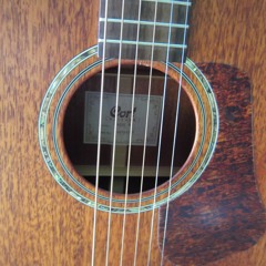 Don't You Dare Forget The Sun (My Acoustic Version)