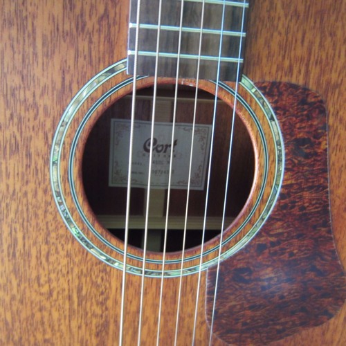 Don't You Dare Forget The Sun (My Acoustic Version)