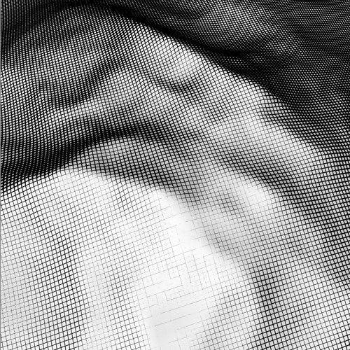 58 ◆ Andrew Lyster