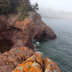 imsorrythatwastheoldme  Prod. ʎpoqou (lyrics in desc.)