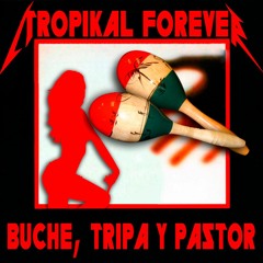 Buche Tripa Y Pastor (Metallica - Seek & Destroy cover)