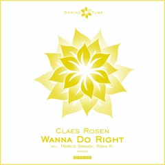 Claes Rosen - Wanna Do Right
