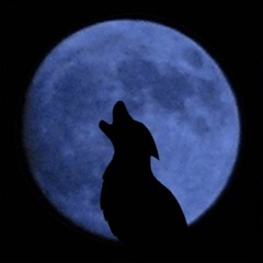 Look In My Eyes ( Don't Remix)