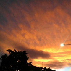 COD3-zwarten tone (preview)