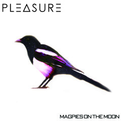 Pleasure - Magpies On The Moon [PREMIERE]