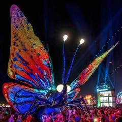 Coachella'16