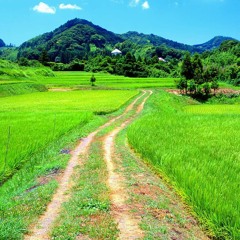 [FREE DL]Colorful Images (Yu-dachi)