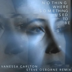 Vanessa Carlton Nothing Where Something Used To Be (Steve Osborne Remix)