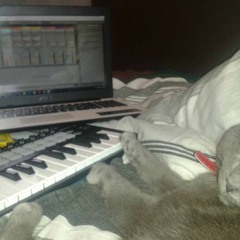 Pull The Wool Over Our Eyes