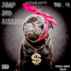 TRAP DOG SESSION VOL.10 BY RASTINE BEAT [KDB MUSIK].mp3