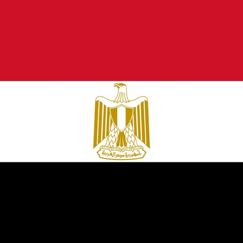 نحن لن نستسلم... ننتصر أو نموت