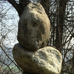 Fons Ties - KONOKUNOK & Pro.Tone