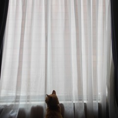 Ningún Silencio Es Incómodo