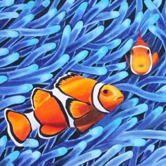 Finding Nemo