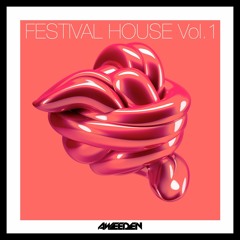 AWEEDEN - Festival House Vol.1 / SAMPLES, LOOPS, PRESETS !!!