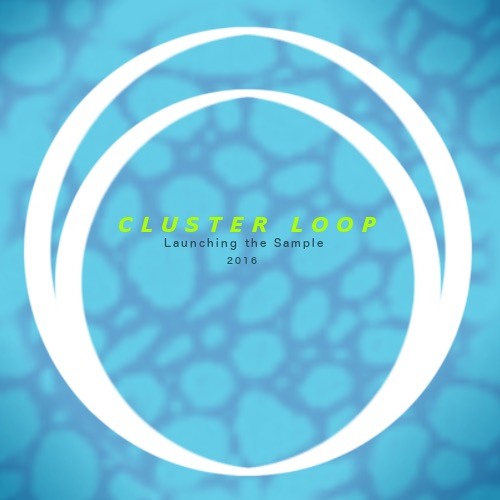 Launching the Sample