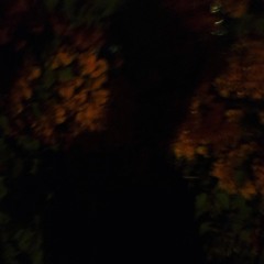 please let me keep this memory (new version)