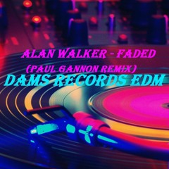 Alan Walker - Faded (Paul Gannon Remix)