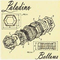 When Two Black Holes Collide