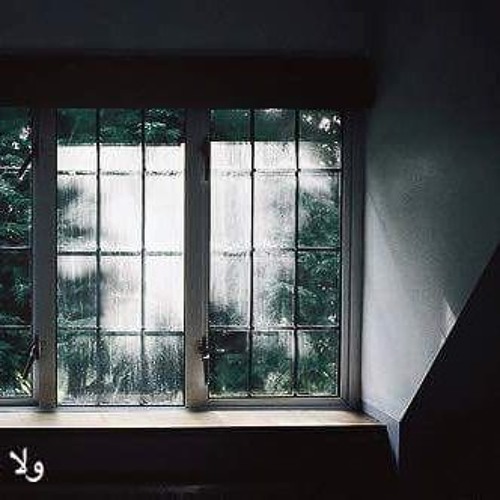 ريكله ...لاما رأفت