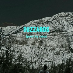 Buzzards (prod. by cabu)