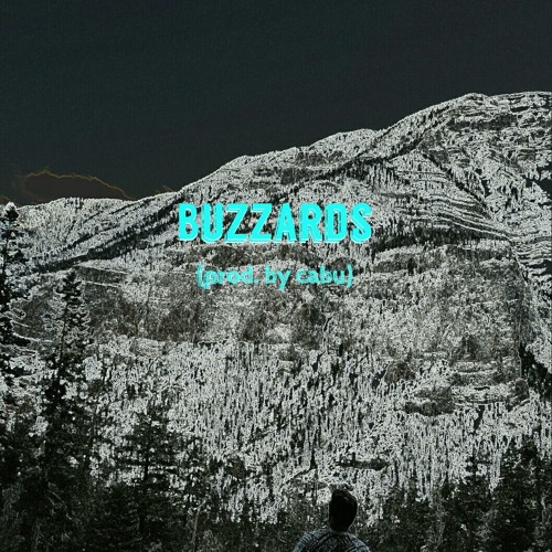 Buzzards (prod. by cabu)
