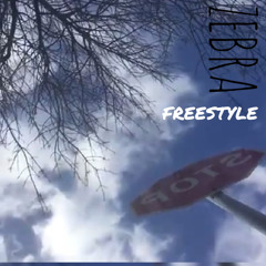 ZEBRA FREESTYLE (SMT)