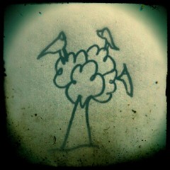 Julay John B - O Terceiro Pássaro