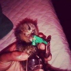 MTG = AMOR DEIXA EU PORTA SUA PISTOLA MUITO BRABAAH '' DJ JP DE NTR ''