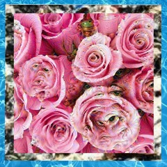 The Favorites - Rejoice