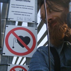 C S Australian Ants Merri Creek 27 03 16