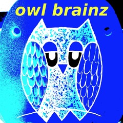 Owl Brainz